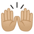 :raised_hands:t3: :raised_hands:t3: